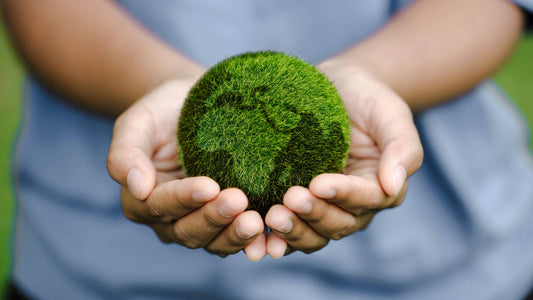 Close up of hands holding the earth on a green background. protect nature. Save Our Earth. 