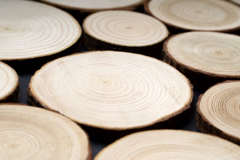 close-up shot of the cross-sections of pine tree lumber with layers of annual tree rings.
